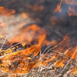 Grass Fires – Did you know?